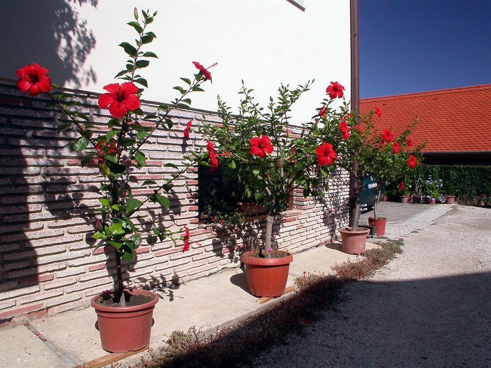 Apartment Therme Apartmenthaus *